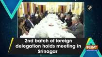 2nd batch of foreign delegation holds meeting in Srinagar
