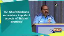 IAF Chief Bhadauria remembers important aspects of 