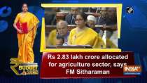 Budget 2020: Rs 2.83 lakh crore allocated for agriculture sector, says FM Sitharaman