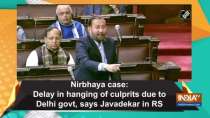 Nirbhaya case: Delay in hanging of culprits due to Delhi govt, says Javadekar in RS