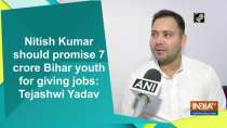 Nitish Kumar should promise 7 crore Bihar youth for giving jobs: Tejashwi Yadav