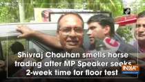 Shivraj Chouhan smells horse trading after MP Speaker seeks 2-week time for floor test