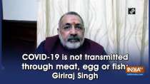 COVID-19 is not transmitted through meat, egg or fish: Giriraj Singh