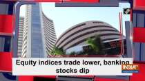 Equity indices trade lower, banking stocks dip