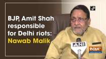 BJP, Amit Shah responsible for Delhi riots: Nawab Malik