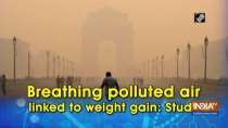 Breathing polluted air linked to weight gain: Study