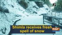Shimla receives fresh spell of snow