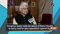 Congress leader calls for return of Rahul Gandhi as party chief to spur opposition against BJP