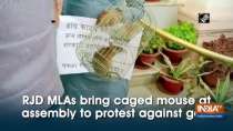 RJD MLAs bring caged mouse at assembly to protest against govt