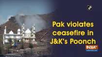 Pak violates ceasefire in J&K