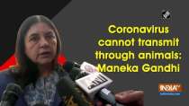 Coronavirus cannot transmit through animals: Maneka Gandhi
