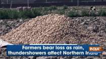 Farmers bear loss as rain, thundershowers affect Northern India