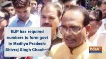 BJP has required numbers to form govt in Madhya Pradesh: Shivraj Singh Chouhan