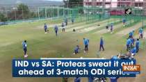 IND vs SA: Proteas sweat it out ahead of 3-match ODI series