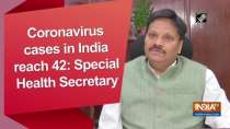 Coronavirus cases in India reach 42: Special Health Secretary