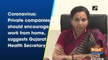 Coronavirus: Private companies should encourage work from home, suggests Gujarat Health Secretary