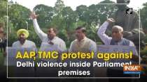 AAP, TMC protest against Delhi violence inside Parliament premises