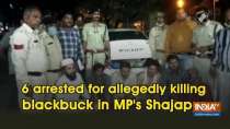 6 arrested for allegedly killing blackbuck in MP