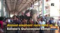 Annual elephant race held at Kerala