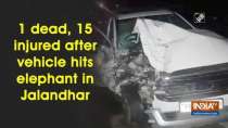 1 dead, 15 injured after vehicle hits elephant in Jalandhar