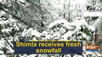 Shimla receives fresh snowfall