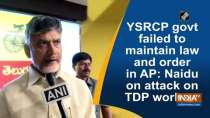 YSRCP govt failed to maintain law and order in AP: Naidu on attack on TDP workers