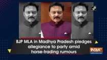 BJP MLA in Madhya Pradesh pledges allegiance to party amid horse-trading rumours