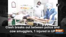 Clash breaks out between police and cow smugglers, 1 injured in UP