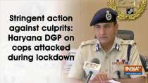 Stringent action against culprits: Haryana DGP on cops attacked during lockdown