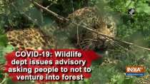 COVID-19: Wildlife dept issues advisory asking people to not to venture into forest