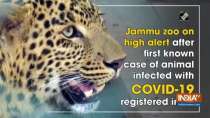 Jammu zoo on high alert after first known case of animal infected with COVID-19 registered in US