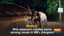 Watch: Wild elephant creates panic among locals in WB