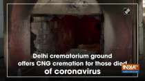 Delhi crematorium ground offers CNG cremation for those died of coronavirus