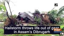 Hailstorm throws life out of gear in Assam