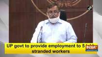 UP govt to provide employment to 5 lakh stranded workers
