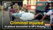 Criminal injured in police encounter in UP