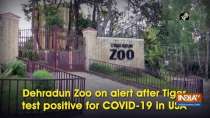 Dehradun Zoo on alert after Tiger test positive for COVID-19 in USA
