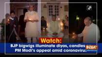 Watch: BJP bigwigs illuminate diyas, candles on PM Modi
