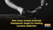 New study reveals potential therapeutic target for treating cocaine addiction