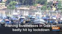 Fishing businesses in Goa get badly hit by lockdown