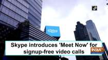 Skype introduces 