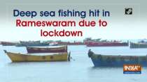 Deep sea fishing hit in Rameswaram due to lockdown