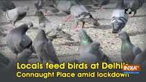 Locals feed birds at Delhi