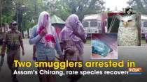Two smugglers arrested in Assam