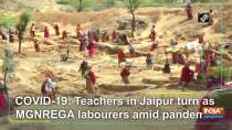 COVID-19: Teachers in Jaipur turn as MGNREGA labourers amid pandemic