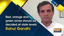Red, orange and green zones should be decided at state levels: Rahul Gandhi