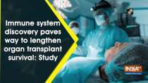 Immune system discovery paves way to lengthen organ transplant survival: Study