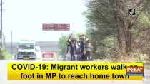 COVID-19: Migrant workers walk on foot in MP to reach home town