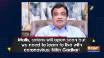 Malls, salons will open soon but we need to learn to live with coronavirus: Nitin Gadkari