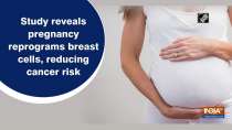 Study reveals pregnancy reprograms breast cells, reducing cancer risk